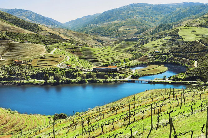 Authentic-Douro-Wine-Tour-Including-Lunch-and-River-Cruise